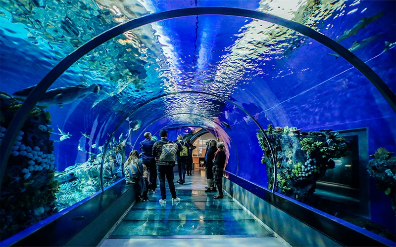 Aquarium acrylic sheet underwater tunnel used in large public aquarium and oceanarium projects