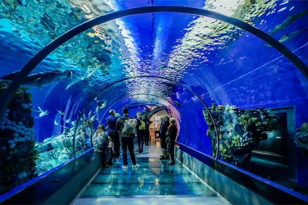 Aquarium acrylic sheet underwater tunnel used in large public aquarium and oceanarium projects